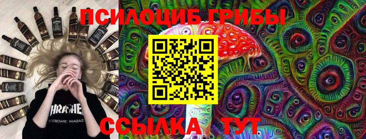 Мариинск  Галлюциногенные грибы Cubensis  Вход с VPN 